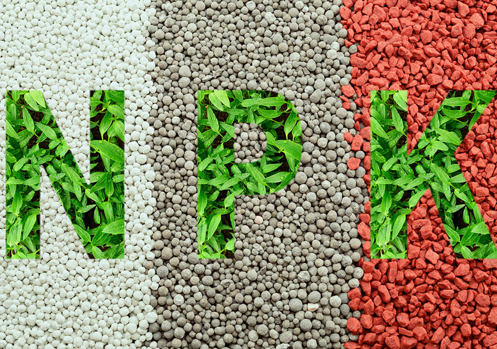 Водорастворимый СТАРТЕР NPK