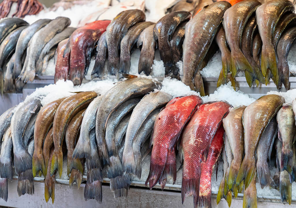 abakus-sea-products-11