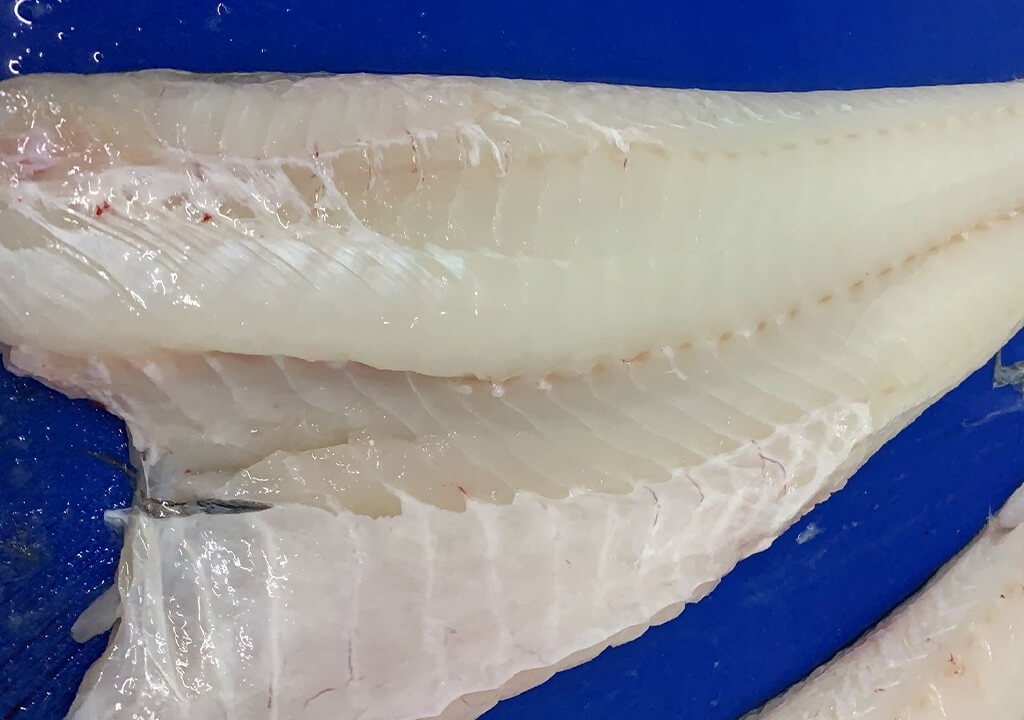 abakus-sea-products-12