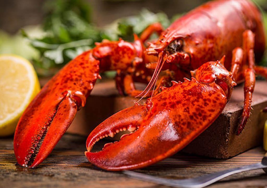 abakus-sea-products-2