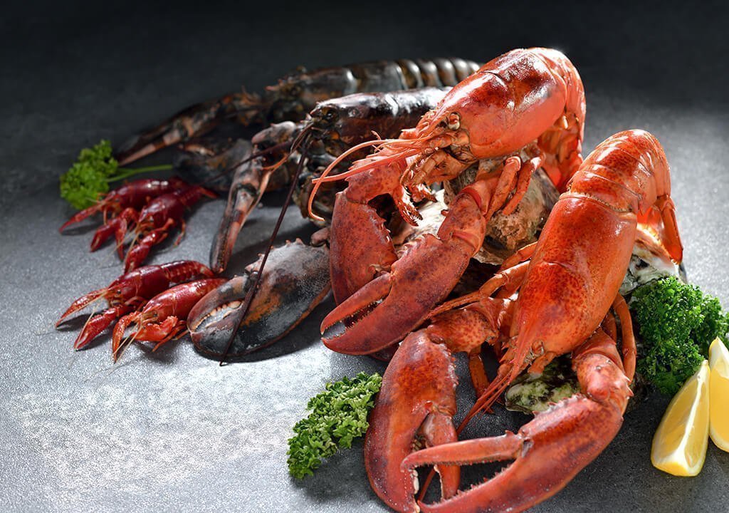 abakus-sea-products-4