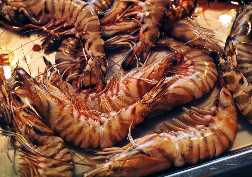 abakus-sea-products-7